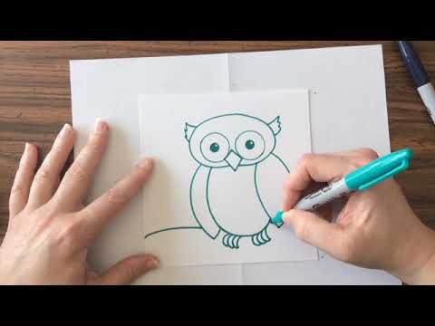 Owl Drawing