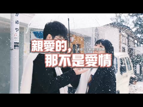 汪蘇瀧/張碧晨 - 親愛的，那不是愛情『你說過牽了手就算約定，但親愛的那並不是愛情。』【動態歌詞MV】