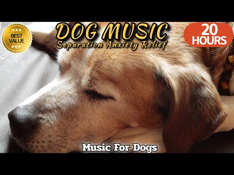 20 HOURS of Dog Calming Music🐶🎵Separation Anxiety Relief🐶💖Soothing Music for Relaxing⭐Healingmate