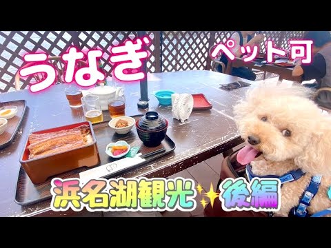 【浜名湖お誕生日旅行✨後編】舘山寺ハイキング☘️うなぎ🍴わんわんパラダイス🐶