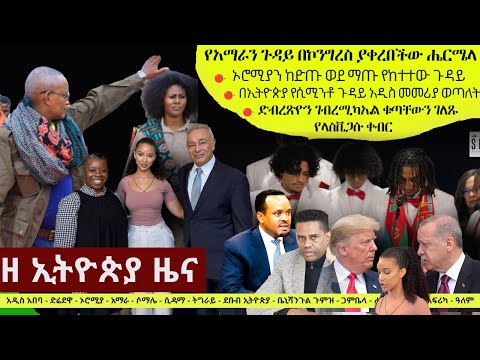 Ethiopia ዘ ኢትዮጵያ የዕለቱ ዜና | The Ethiopia Daily Ethiopia News November 8, 2024 | The Ethiopia Channel