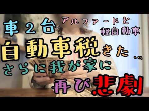 音声あり【自動車税2台分💸】車の税金来た！自動車税/アルファード/そして悲劇が再び…😇家計管理/家計簿