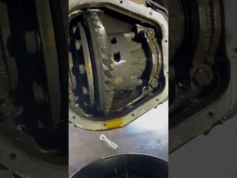 2011 F250 6.7 Powerstroke Rear Differential #automobile #shorts #maintenance