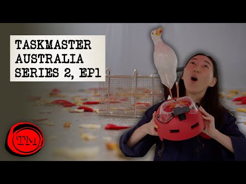 Taskmaster Australia Series 2, Episode 1 - 'Don't slip on the chips old man.'