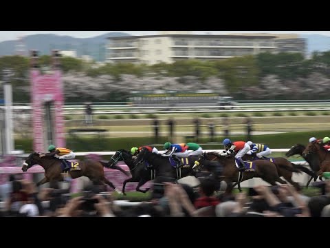 【2024 桜花賞】ステレンボッシュ優勝！【現地レース映像】