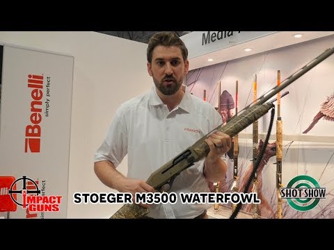 Stoeger M3500 Waterfowl Shotgun - SHOT Show 2019