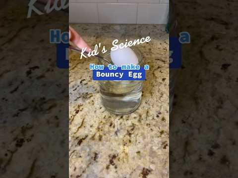 Science Experiment For Parents and Teachers 🥼How To Make An Egg Bounce #shorts #stemeducation