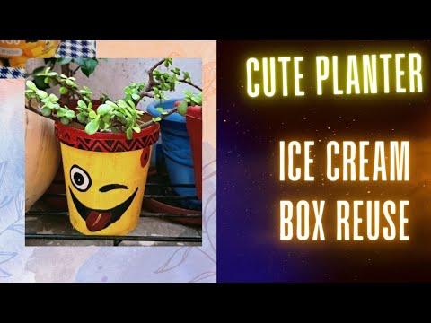 Ice cream Box Reuse Idea|smiley Planters| Cute Planters #trending #planters #smiley #boxreuse #viral