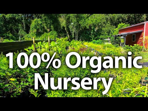 ALL ORGANIC 🌿 Online Nursery based in Florida!