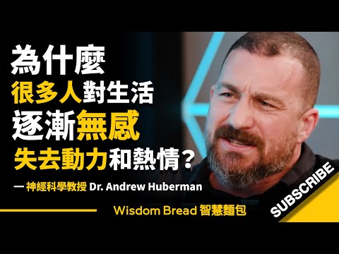 為什麼很多人對生活逐漸無感，失去動力和熱情？► 試試這個方法 - Dr Andrew Huberman 安德魯．休伯曼博士（中英字幕）