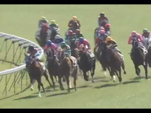 ラインクラフト 2004年 2歳新馬戦  (優勝馬：ラインクラフト) (実況：ラジオNIKKEI)