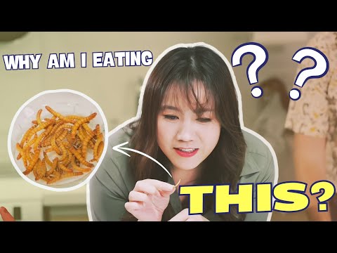 Jenny Eats Worms! With Entomologist Matan Shelomi | Anything Goes With JL