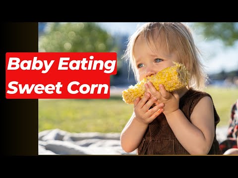 Baby Eating a weet Corn | Babies Eat Corn