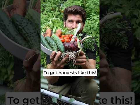 🍅 Save this video to have on hand for when you setup your next raised bed!