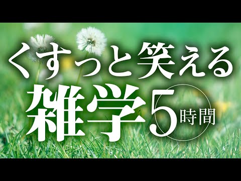 【睡眠導入】くすっと笑える雑学5時間【合成音声】