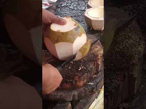 superbly great coconut cutting skills Asmr #satisfying #coconutcutting #youtubeshorts #Gatchie Jr