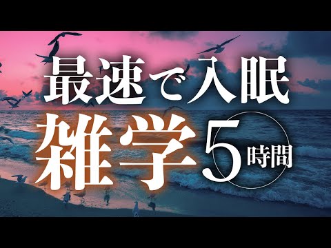 【睡眠導入】最速で入眠雑学5時間【合成音声】