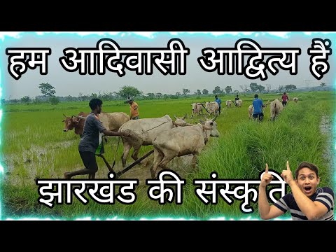 THE FARMER'S IN INDIA || Ft AJAY HONHAGA || CHAIBASA||JHARKHAND