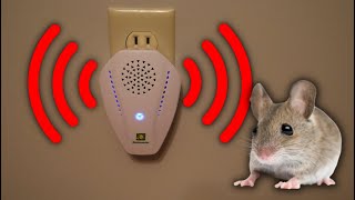 BEST Ultrasonic Pest Control and Repeller!  Amazon Pest Control Product Review!