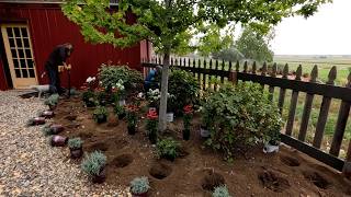 Planting Cottage Style Flower Beds In My Parent’s Garden! 🌿🌼🍃 // Garden Answer