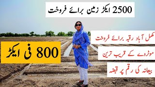 land for sale in Pakistan | agriculture land for sale in Pakistan | zameen for sale in Pakistan