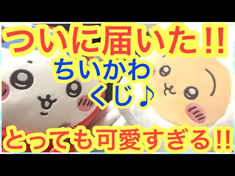 【ちいかわ】ちいかわくじ！！イカうさぎさん届く！！この可愛さは反則です！！＾＾