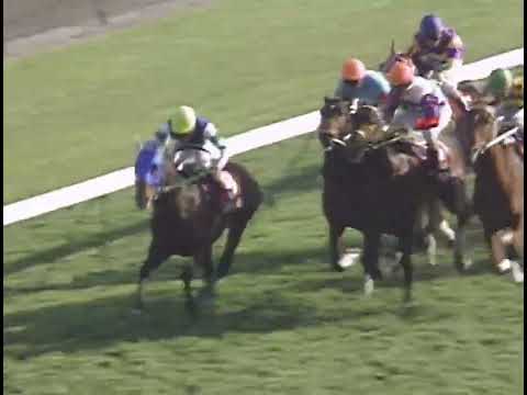 ヤマニンゼファー 1993年 第67回中山記念(GII) (優勝馬：ムービースター)