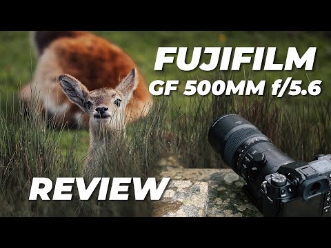 Fujifilm GF 500mm f/5.6 R LM OIS WR Review | The GF Lens We've Been Waiting For