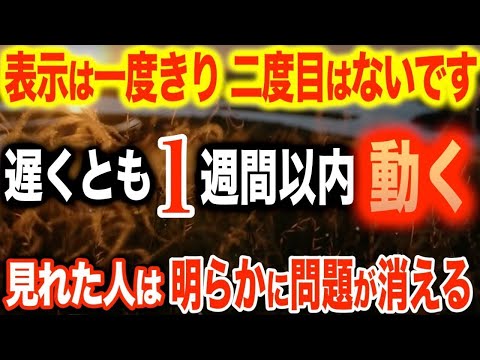 【朗報】二度目はないです。日常でかけ流すだけで気がつくと問題はバタバタと消え、毎日嬉しいこと楽しいことワクワクすることで満たされるよう特殊な修練を積んだ波動専門家が作った174HzBGM(@0059)