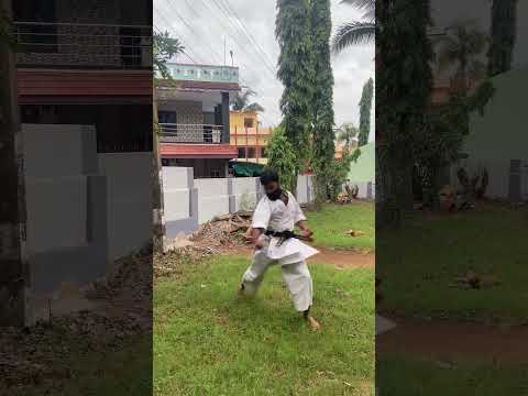 karate backflip #martialarts #karate #kalaripayattu #backflip