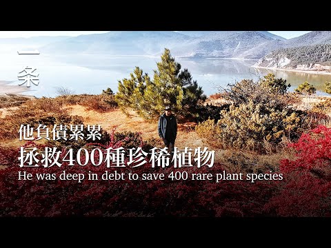 【EngSub】He was deep in debt to save 400 rare plant species 堅守40年，他負債造出全世界最高的植物園