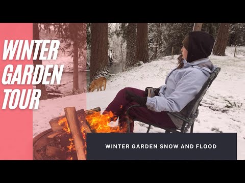 Winter Garden Tour | snow and flood