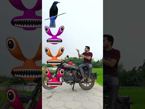 Cyan rainbow head to kauwa kobutor tota peacock 🦚 #shortsfeed_ #viralvideos #shortvideos #short #vfx