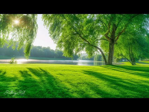 Unlock the SECRET to Refreshing Your Heart and Soul in 20 Minutes 🌿 Soothing music for a calm soul