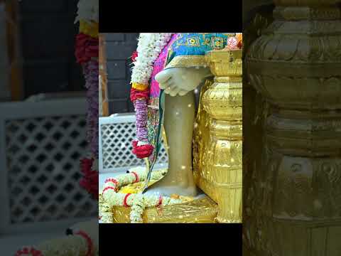 Om Sri Sai...🙏 Shirdi Saibaba morning darshan (14.11.24) #saibaba #saibhajan #saibhakti #shorts #yt