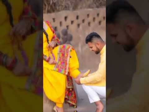 🥰🥰🥰🥰🥰punjabi couple status video ❤️❤️❤️❤️ #treanding #viral #shorts