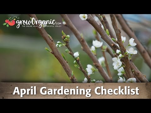 April Gardening Checklist: 19 Tips to Keep Your Organic Garden Healthy in April