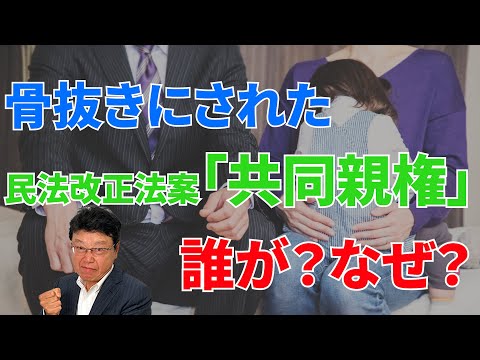 【離婚後・共同親権】骨抜きにされた民法改正法案・共同親権　誰が？なぜ？明かされる真実！