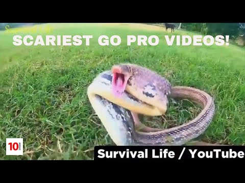 Top 10: SCARIEST GOPRO VIDEOS (BRO YOU WON'T BELIEVE THIS)