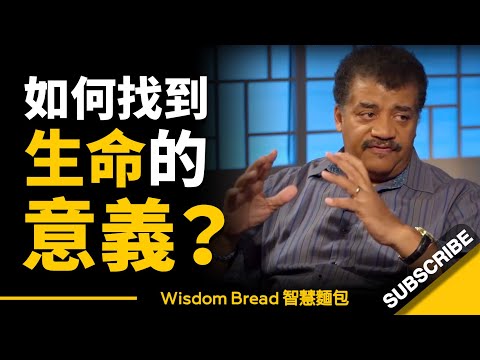 如何找到生命的意義？► 許多人用盡一生尋尋覓覓，仿佛它就藏在石頭底下... - 奈爾·德葛拉司·泰森（中英字幕）