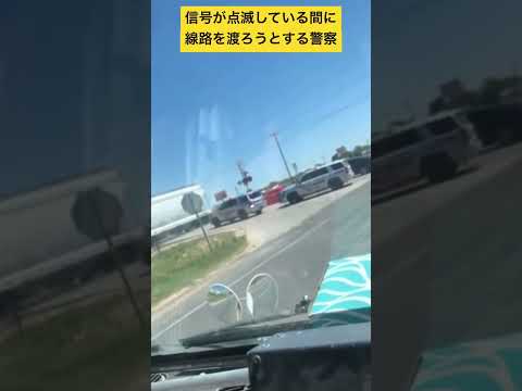 警察が信号無視