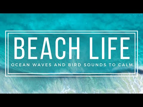 The Ocean is Calling - 10 Hours Calming Coastal Beach Sounds for Deep Sleep