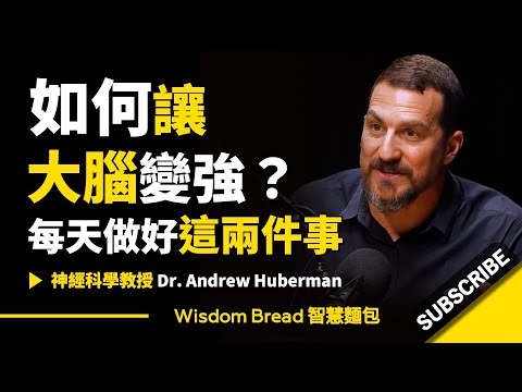 如何讓大腦變強？► 每天做好這兩件事 🧠 - Dr. Andrew Huberman 安德魯．胡伯曼博士（中英字幕）