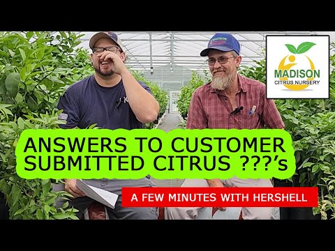 Madison Citrus Nursery - Q&A: A Few Minutes With Hershell