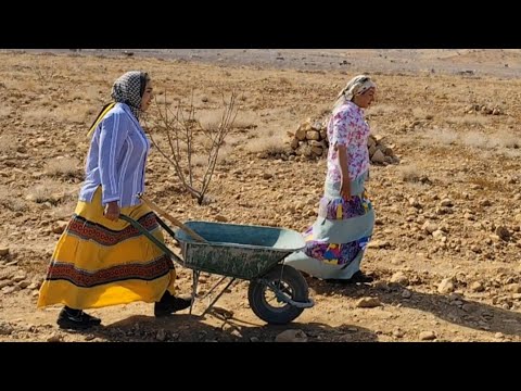 Daily life of rural girls: preparation and repair of the spring residence in the mountain garden