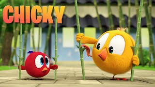 Where's Chicky? Funny Chicky 2023 | COMPILATION | Cartoon in English for Kids | New episodes