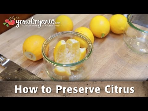 How To Preserve Citrus by Canning