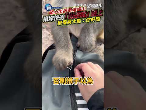 【41J肉聲】嫩妹遊峨眉山　慘遭「山道猴子」硬上！她痛哭大罵：你好醜｜鏡週刊