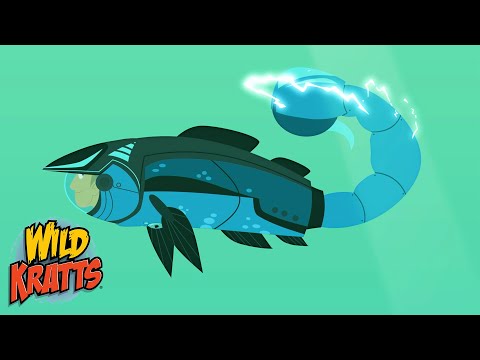 A Salmon with a Scorpion Tail? | Transformation Malfunctions | Cartoons for Kids | Wild Kratts