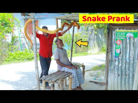 King Cobra Snake Prank 🐍 (Part 14) | Fake Snake Prank Video | 4 Minute Fun